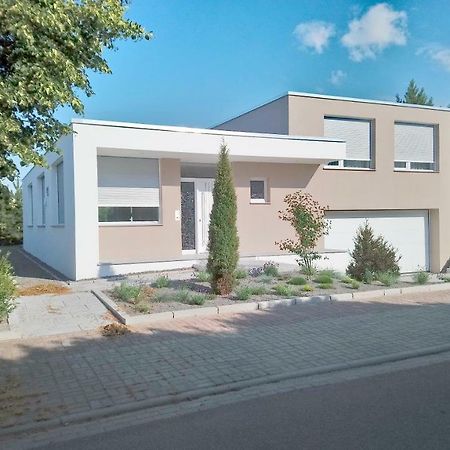 Zimmer In Zoschen Kültér fotó